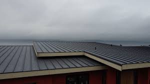 Best Roof Insulation Installation  in Smithville Sanders, IN